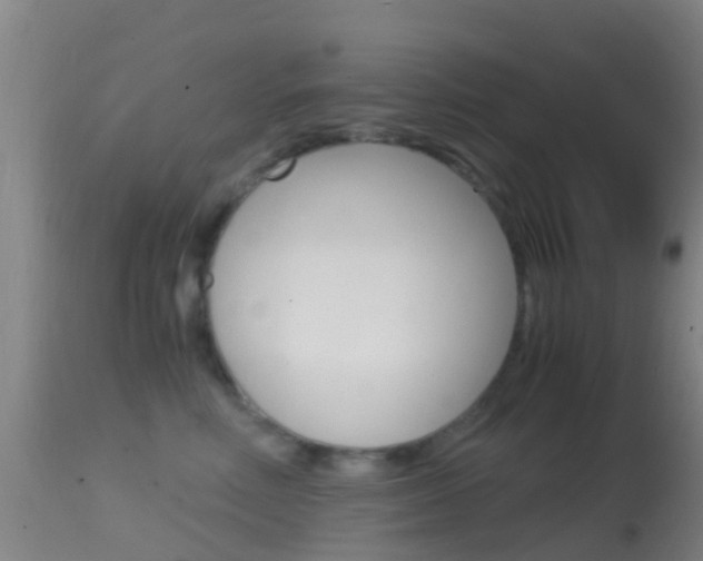 X0000114680618200910211033