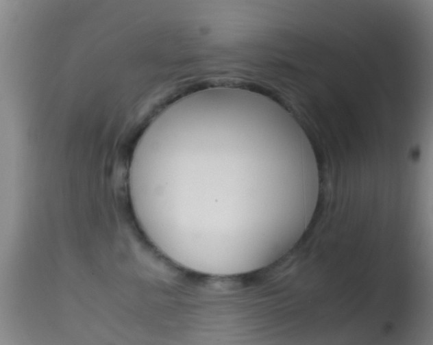 X0000114680619200910211033