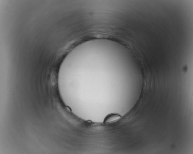 X0000114680620200910211033