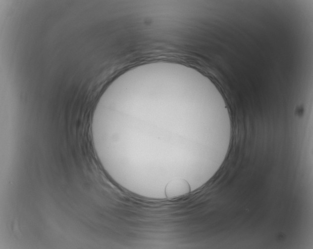 X0000114680621200910211033