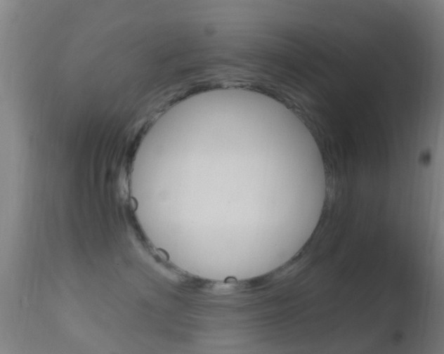X0000114680622200910211033
