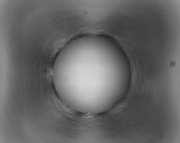 X0000114680624200910211033