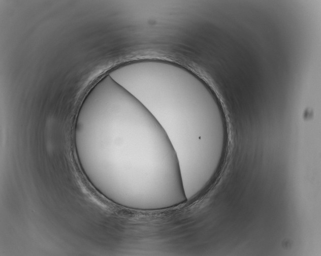 X0000114680625200910211032