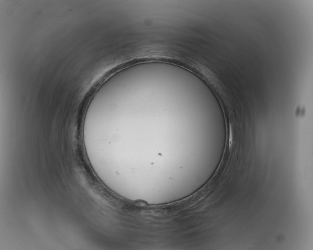 X0000114680627200910211032