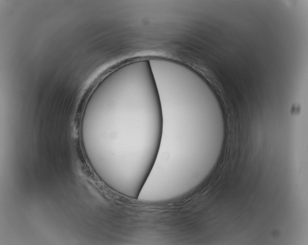 X0000114680628200910211032