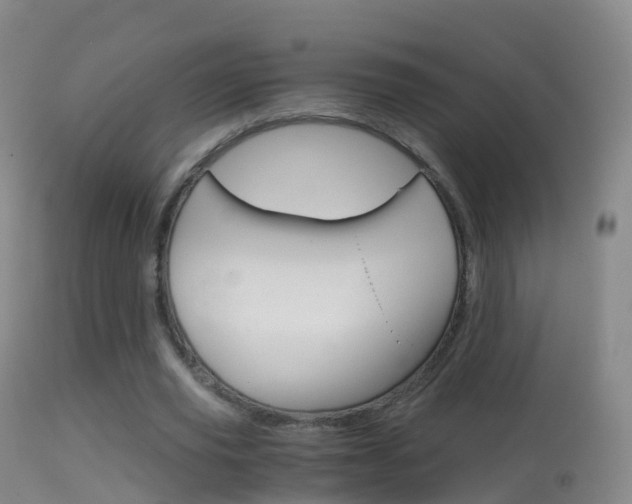 X0000114680629200910211032