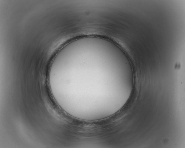 X0000114680631200910211032