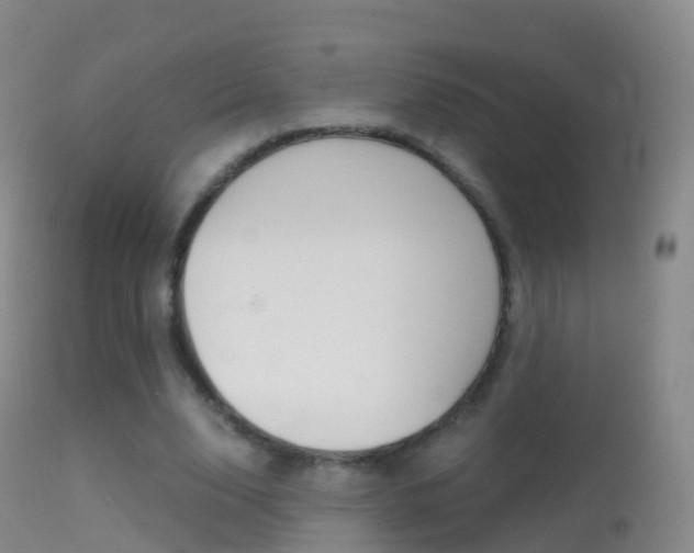 X0000114680632200910211032