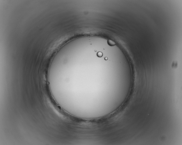 X0000114680633200910211032