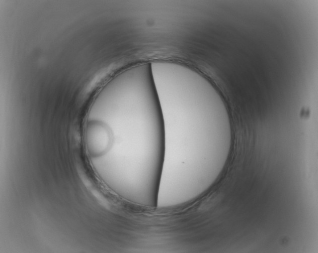 X0000114680634200910211032