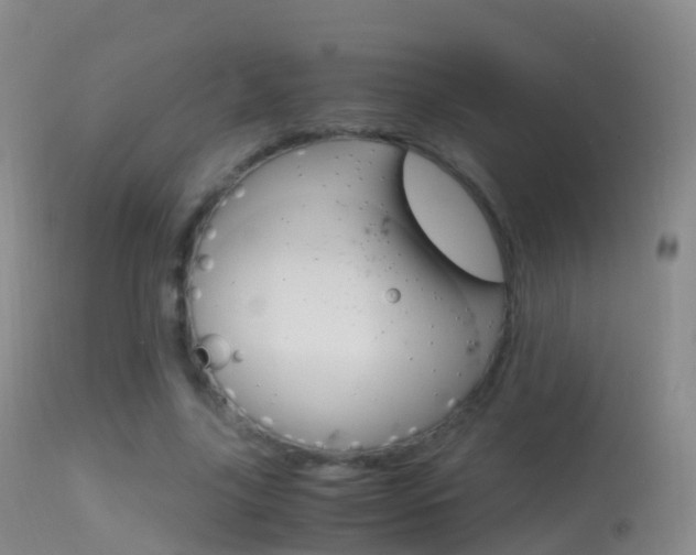 X0000114680635200910211032
