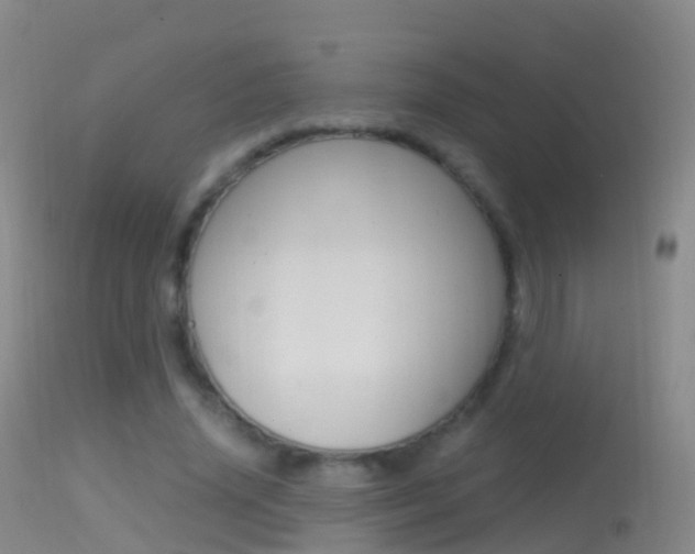 X0000114680636200910211032