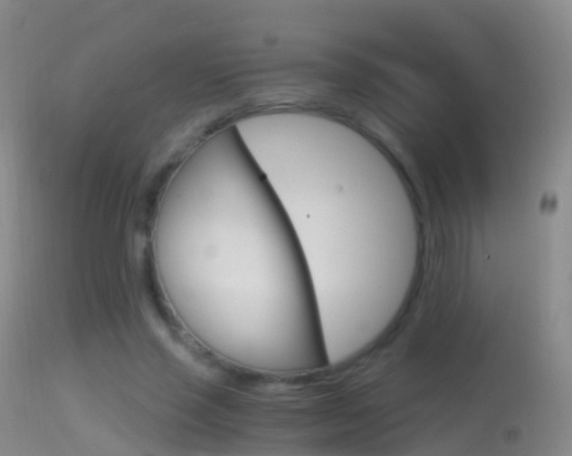 X0000114680637200910211032