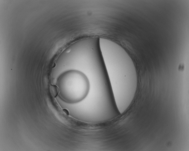 X0000114680638200910211032