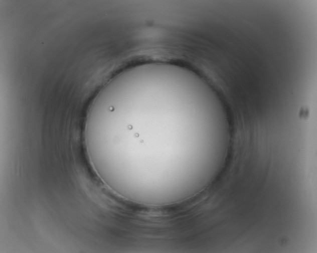 X0000114680639200910211032