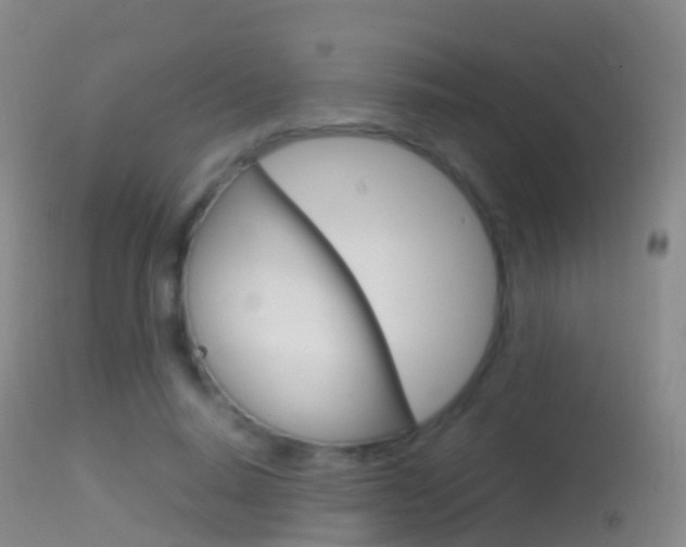 X0000114680640200910211032