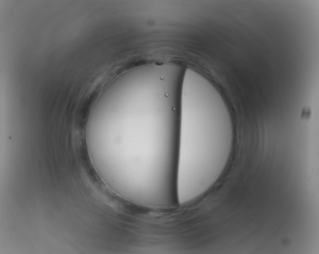 X0000114680641200910211032