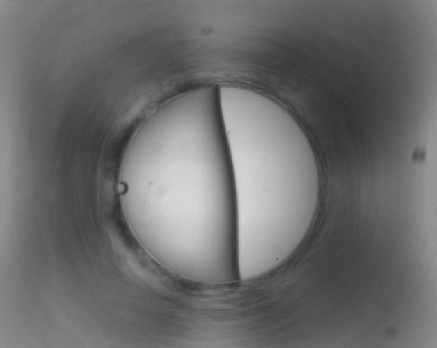X0000114680642200910211032