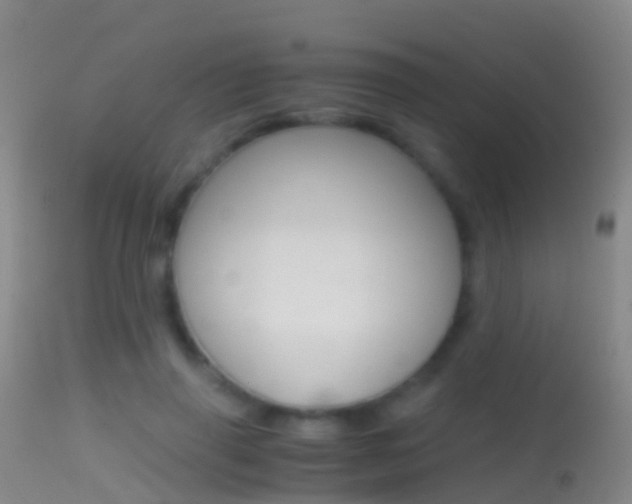 X0000114680645200910211032