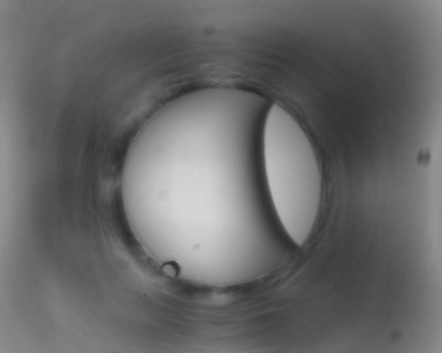 X0000114680647200910211032