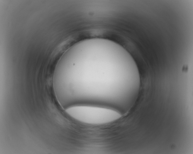 X0000114680648200910211032