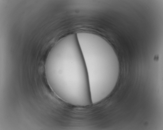 X0000114680649200910211032