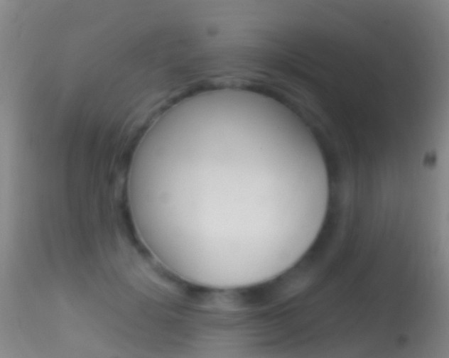 X0000114680652200910211033