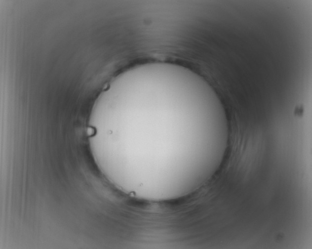 X0000114680656200910211033
