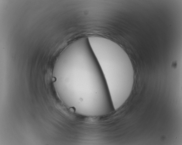 X0000114680660200910211033