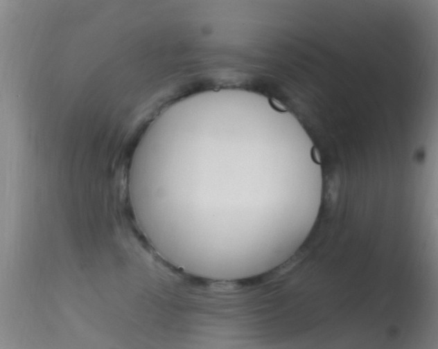 X0000114680666200910211033