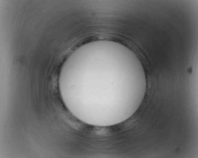 X0000114680667200910211033
