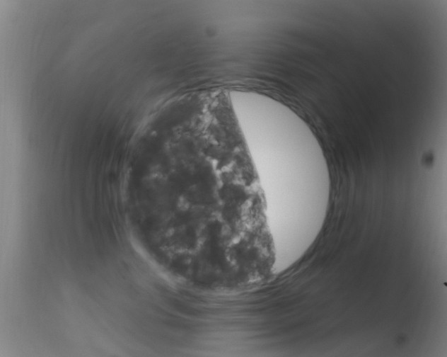 X0000114680668200910211033