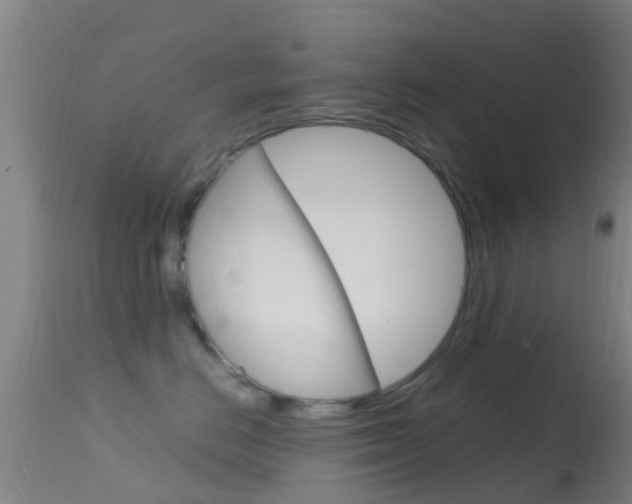 X0000114680670200910211033