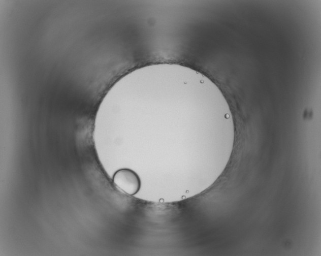 X0000114680672200910211033