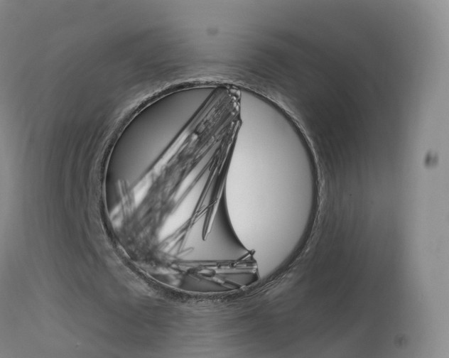 X0000114680673200910211032