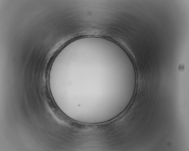 X0000114680674200910211032