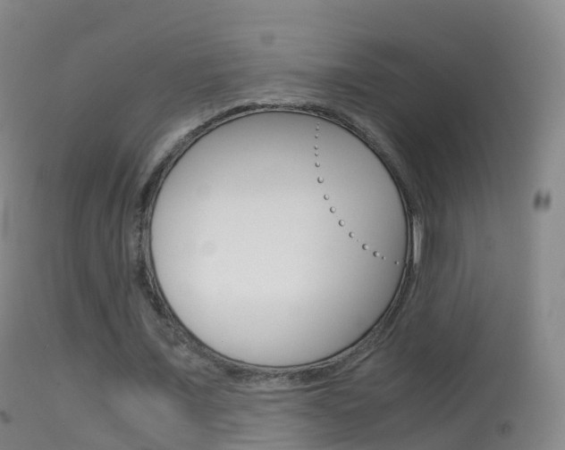 X0000114680675200910211032