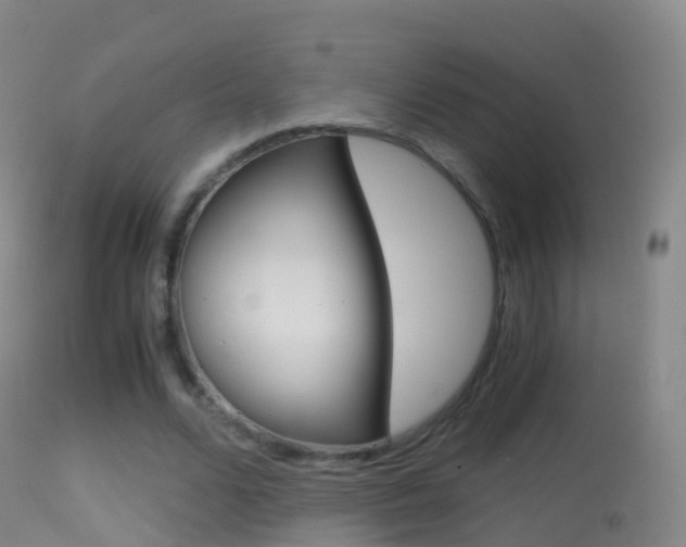 X0000114680680200910211032