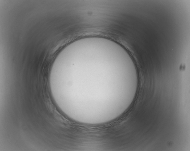 X0000114680681200910211032