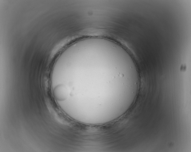 X0000114680682200910211032