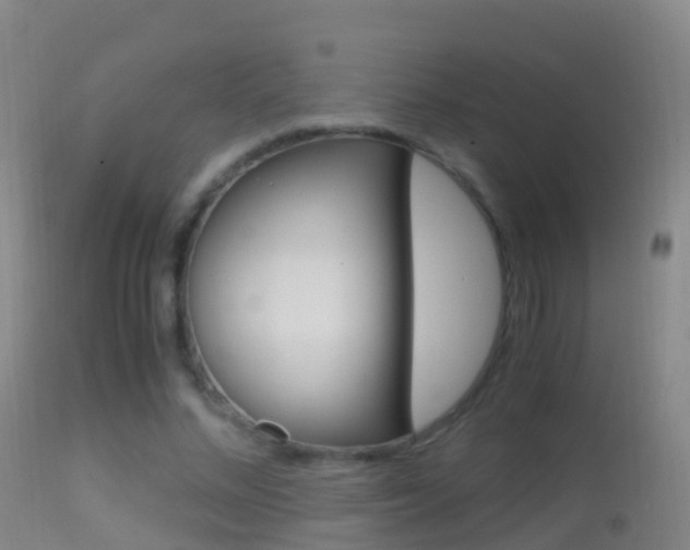 X0000114680684200910211032