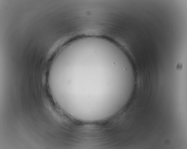 X0000114680686200910211032