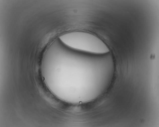 X0000114680687200910211032