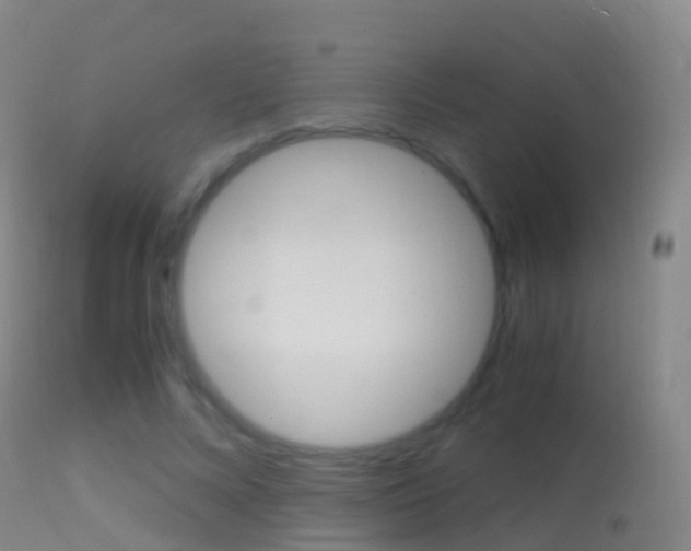 X0000114680688200910211032