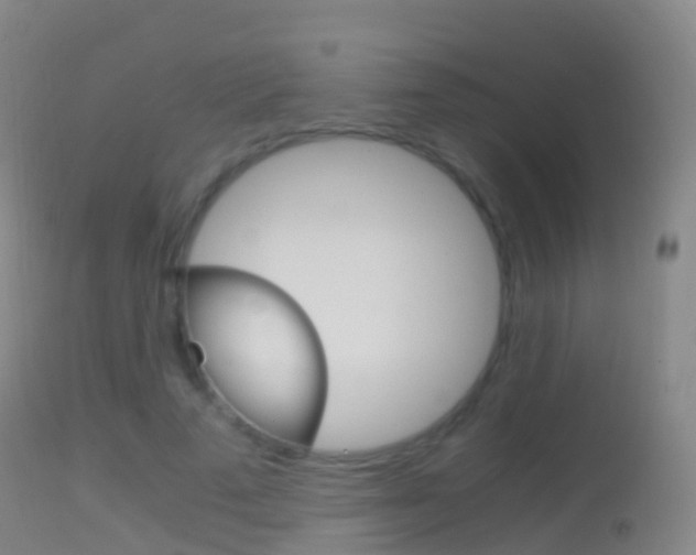 X0000114680689200910211032