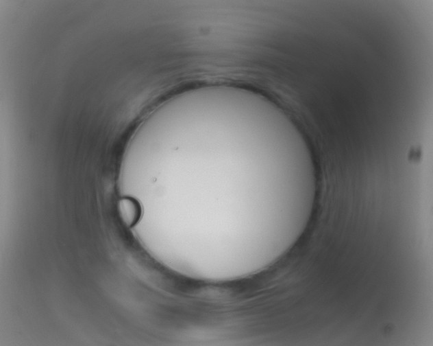 X0000114680691200910211032