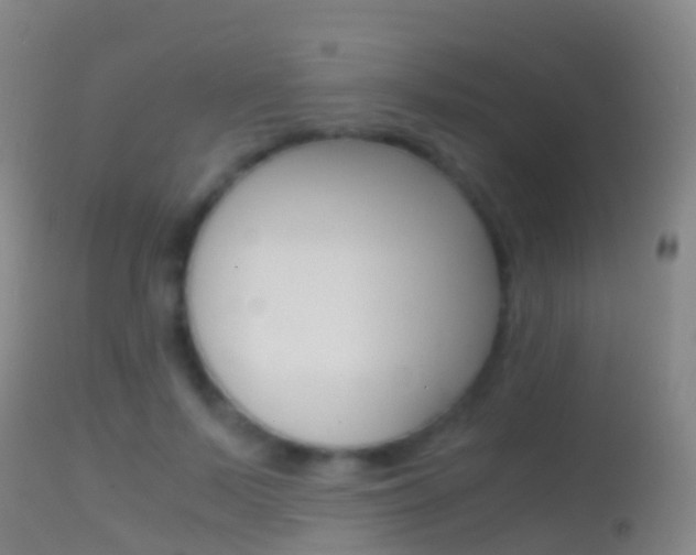 X0000114680695200910211032