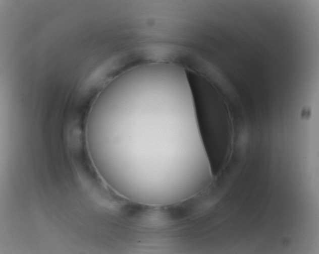 X0000114680696200910211032