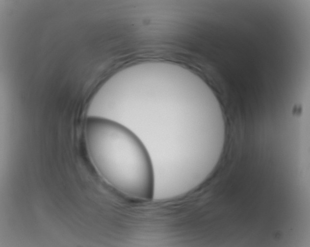 X0000114680697200910211032