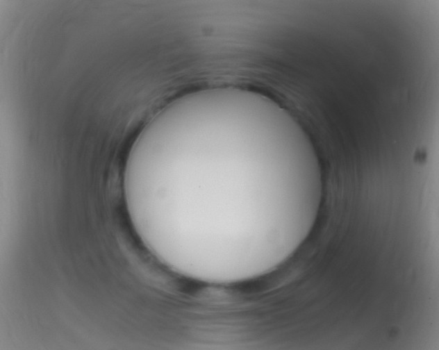 X0000114680699200910211032